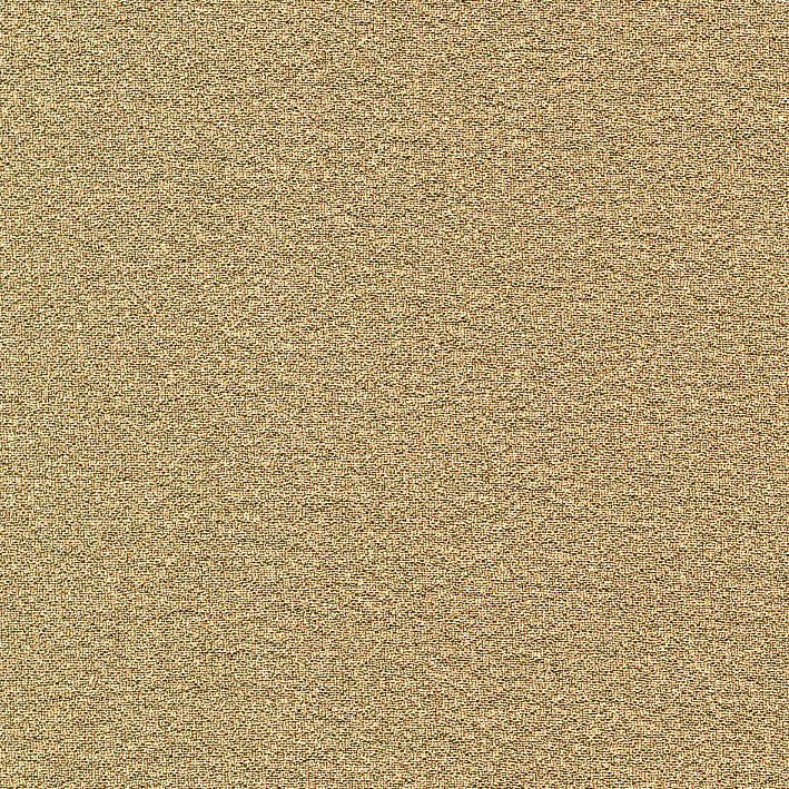 HT0031 var.4